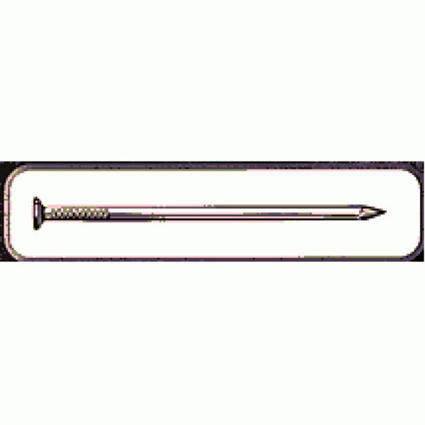 Tree Island Common Nail, 12D, Steel, Bright Finish 1AA32